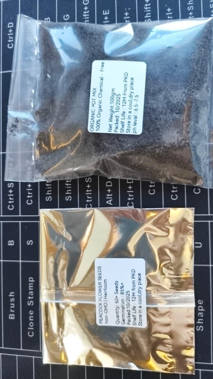 Rare Peacock Flower Seeds – Exotic Garden Decorative Plant (Pack of 1)