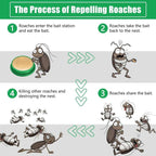 Cockroach Killer Gel Bait – Effective Roach Control (Pack of 2)