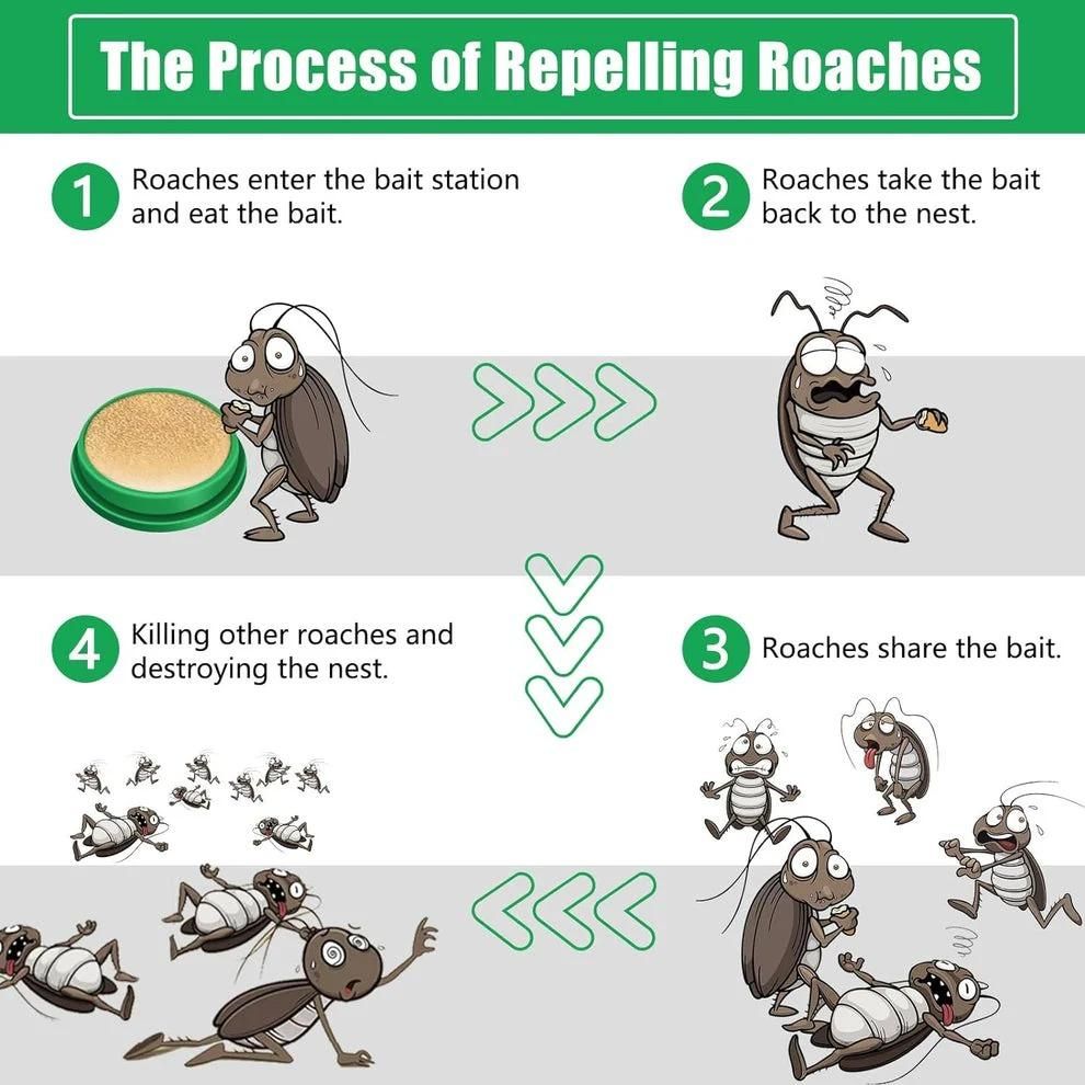 Cockroach Killer Gel Bait – Effective Roach Control (Pack of 2)