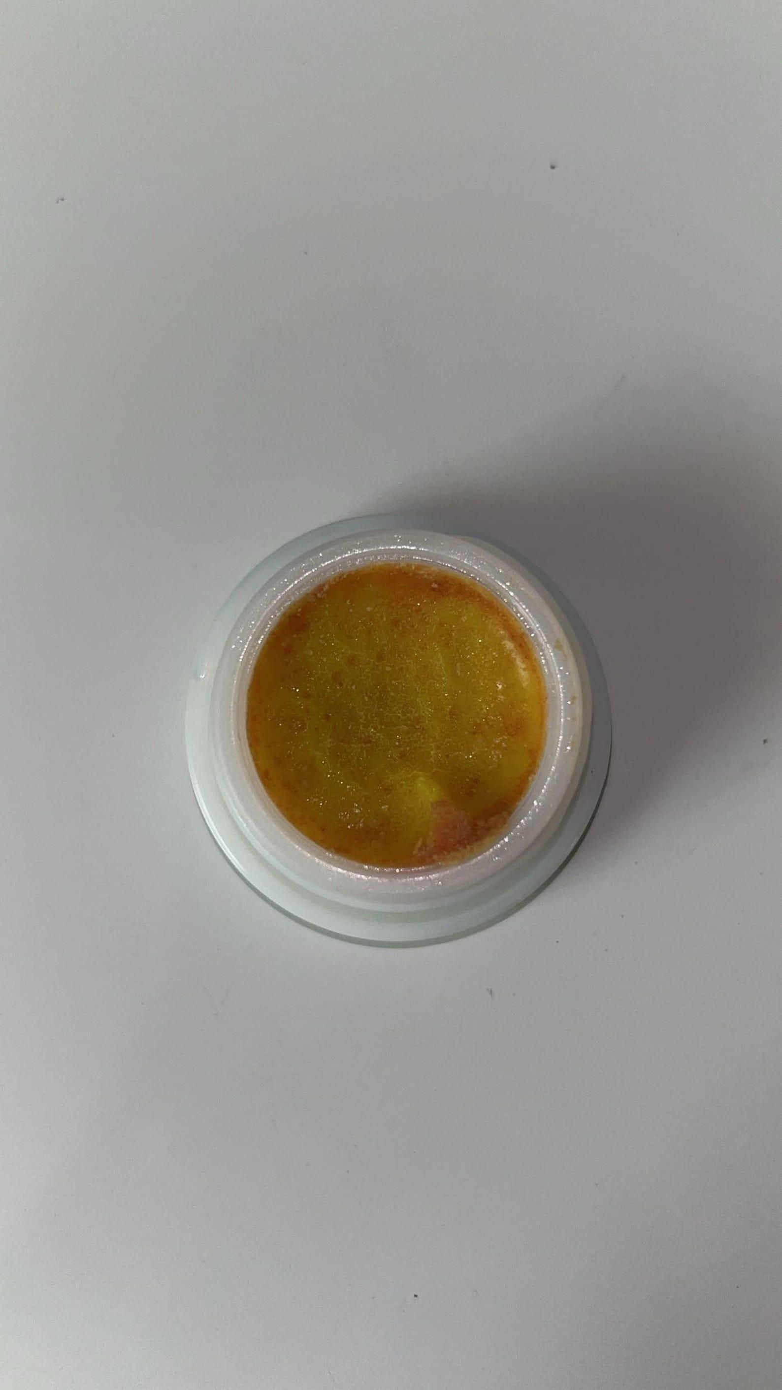 Cockroach Killer Gel Bait – Effective Roach Control (Pack of 2)